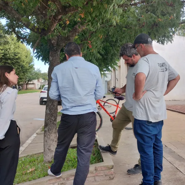 Seis municipios RAMCC lideran el relevamiento de árboles con la app CenArb